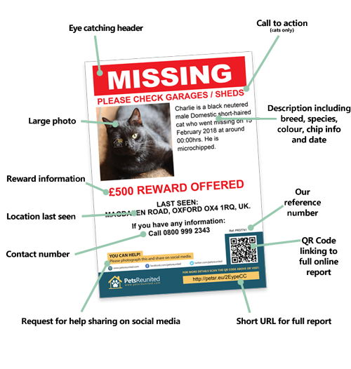 Lost pet poster