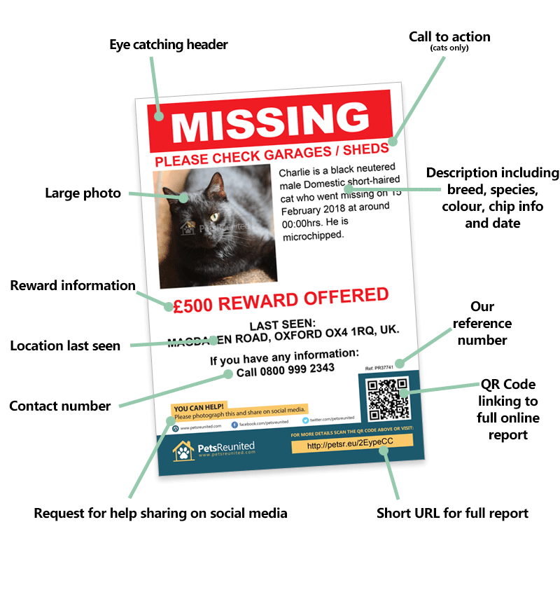 Lost pet posters and flyers for your missing pet ...